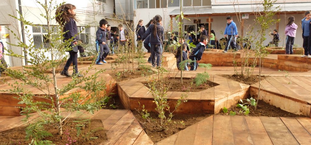 El Patio Y La Cultura Escolar Dos Claves Para Potenciar El Desarrollo