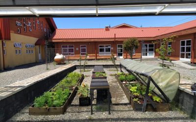 Aula Abierta Cultivable: gastronomía, cultura local y sustentabilidad 
