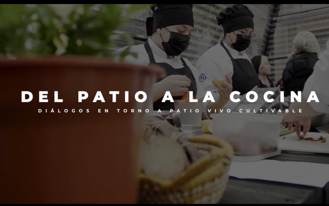 ¡Nueva serie!: Del Patio a la cocina, diálogos en torno a Patio Vivo Cultivable