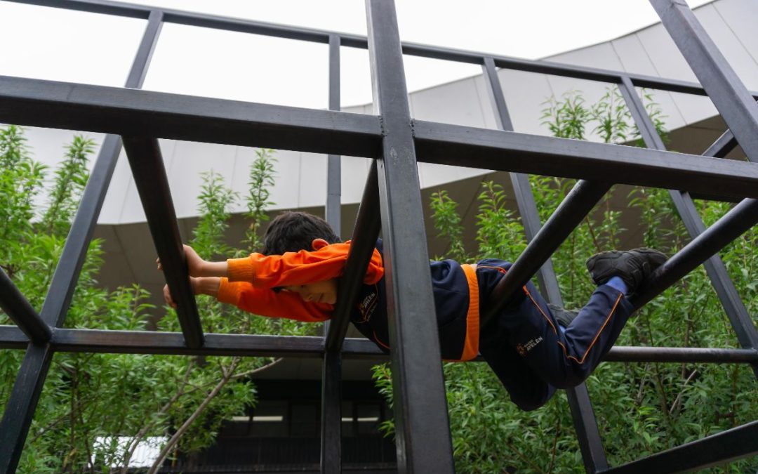 Año en que cruzamos fronteras, visibilizando los patios vivos como una oportunidad de resiliencia climática